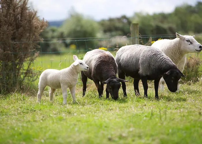 Riversdale Bed & Breakfast 3*